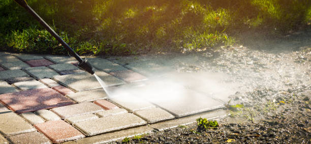 Best Solar Panel Cleaning  in Elton, LA